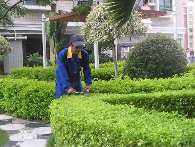 了解物业托管服务新趋势
